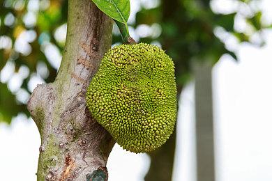 俯视角2D动作游戏《先驱者真子（Outrider Mako）》现已在Steam上发售！